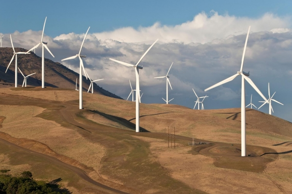 Wind Power Carbon Offsets